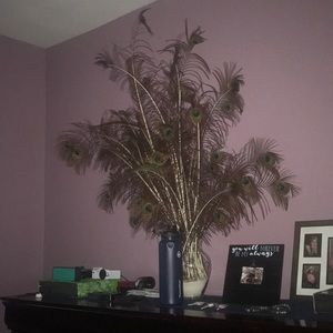 Meet your Posher, Jeffrey